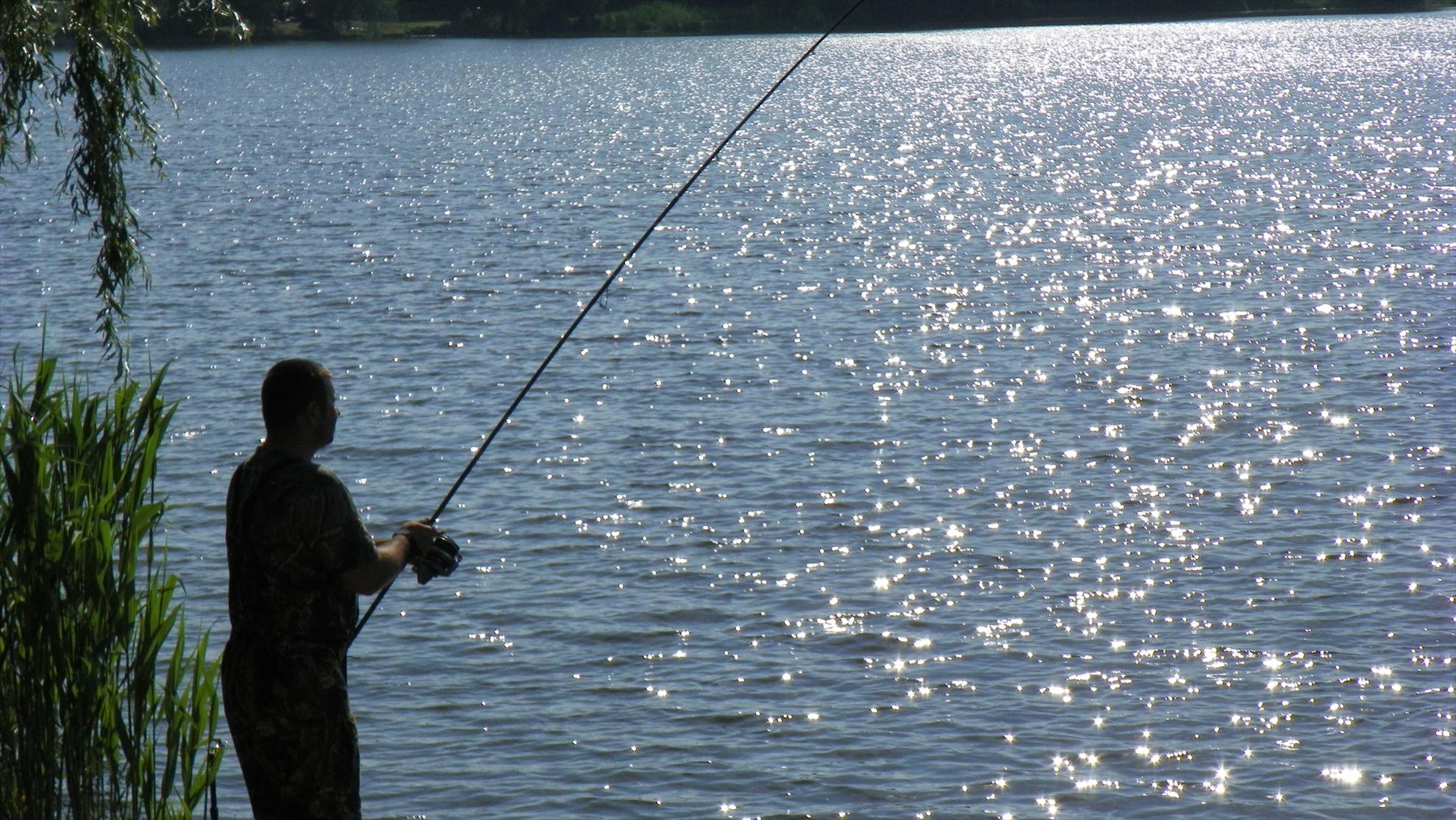 Crapmania (2) - 2011 - 1001201.JPG